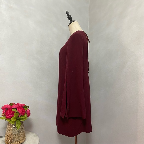 Dress The Population Burgundy Dahlia Long Sleeve Drape Back Minidress - Reemoly - Picture 16 of 17
